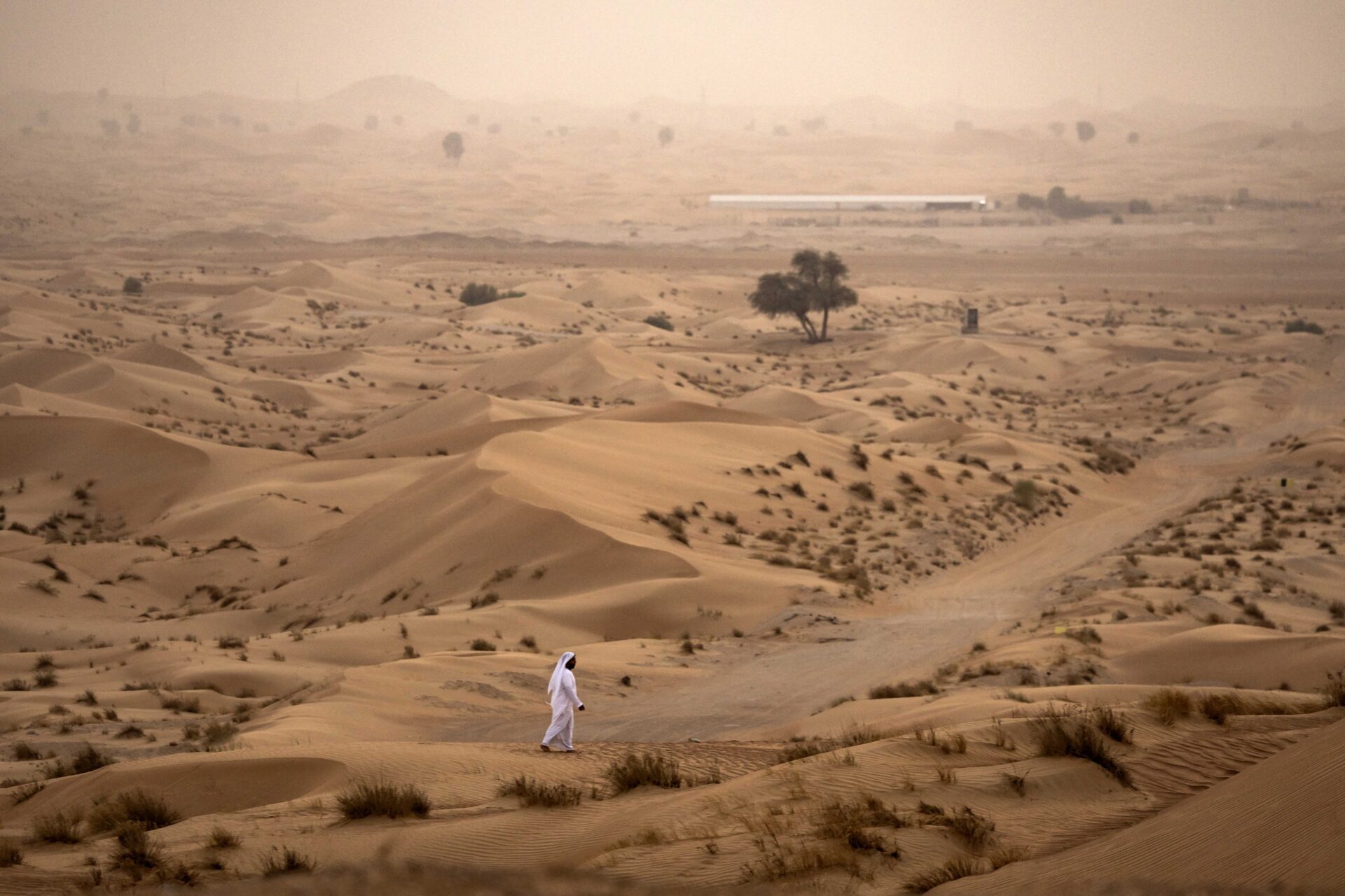 A man walks in the desert during a dust storm in Al Ain, a region in the UAE emirate of Abu Dhabi, on Saturday. (Fadel Senna AFP via Getty Images)